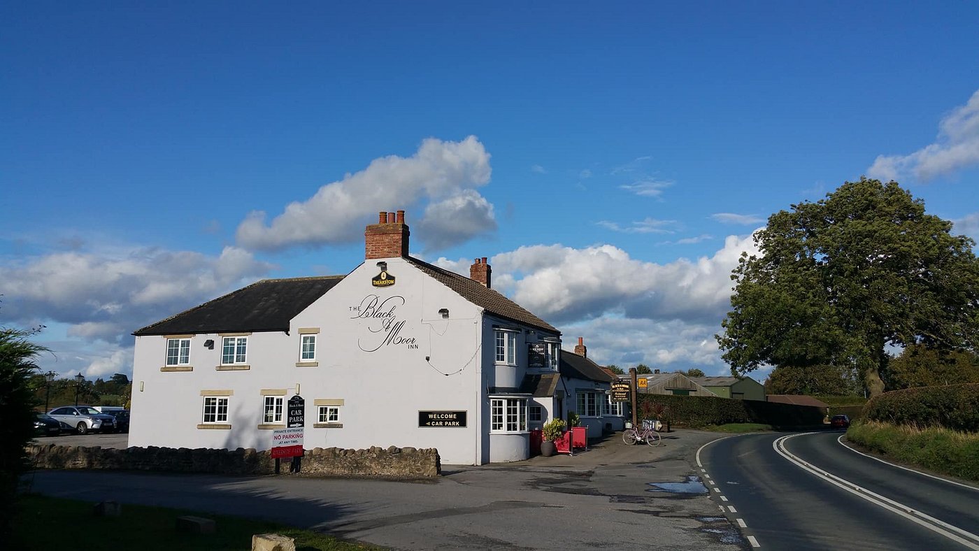 Ripon